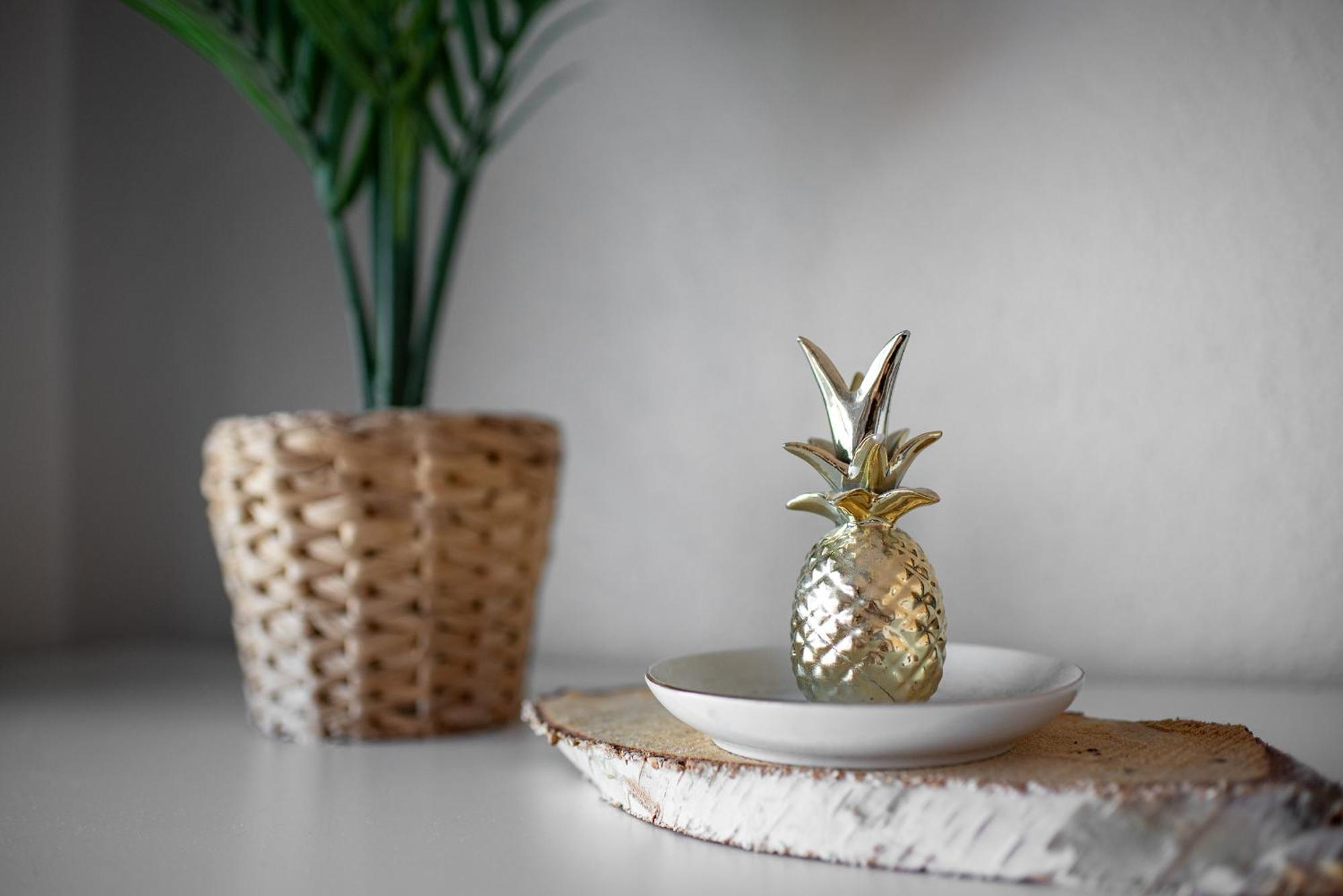 Apartmán Cosy T2, Terrasse Privee Et Parking Toulouse Exteriér fotografie